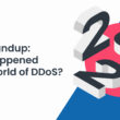 The world of DDoS in 2022