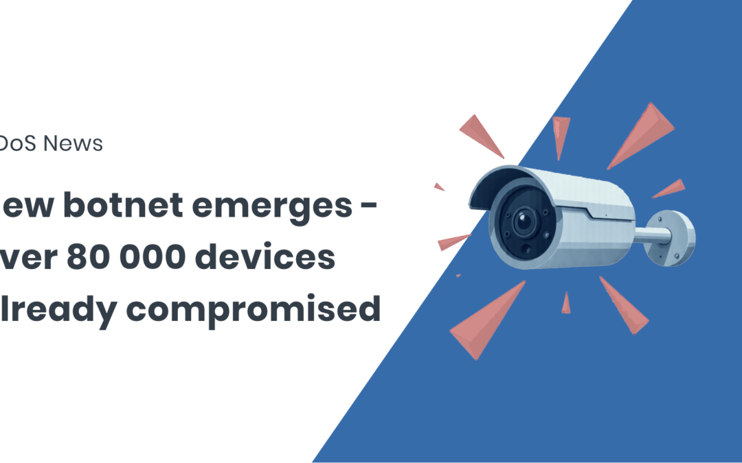 A new powerful botnet Eleven11bot discovered