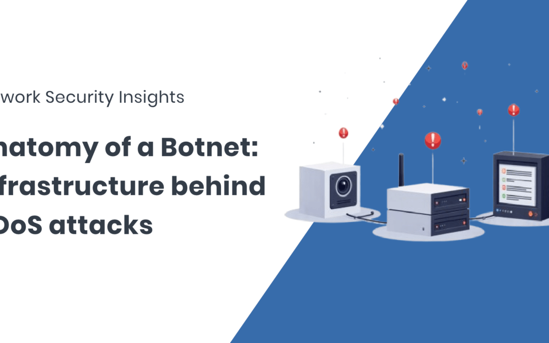 Anatomy of a Botnet