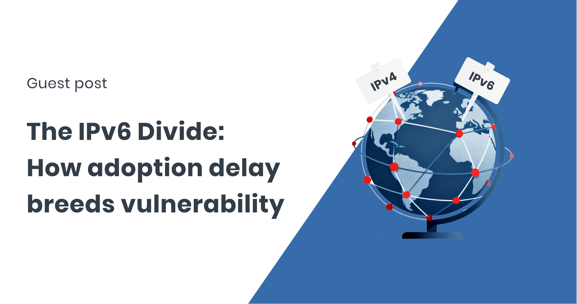 IPv6 divide guest post on FastNetMon blog by IPXO