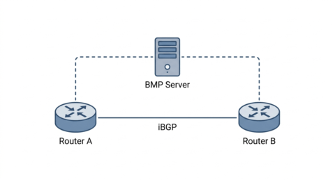 Understanding the BGP Monitoring Protocol (BMP) | FastNetMon Official site