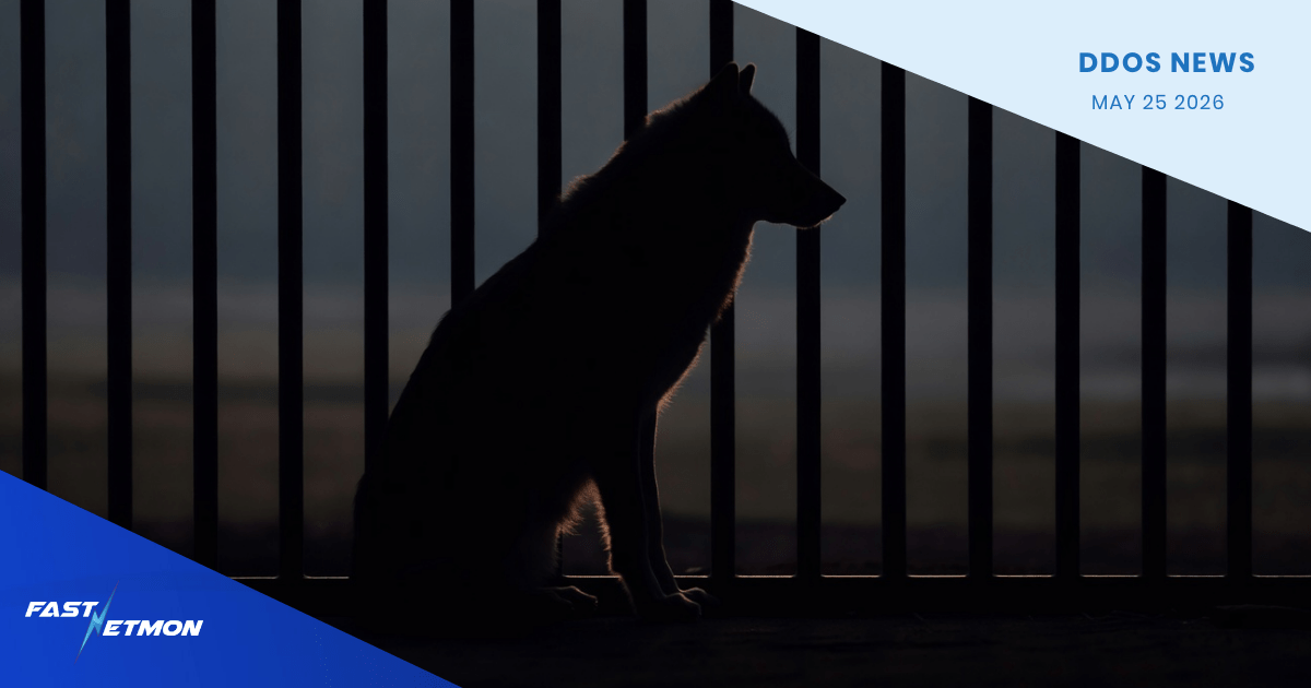 Silhouette of a dog sitting beside vertical bars at dusk, overlaid with a blue banner that reads DDOS NEWS and MAY 25 2026.