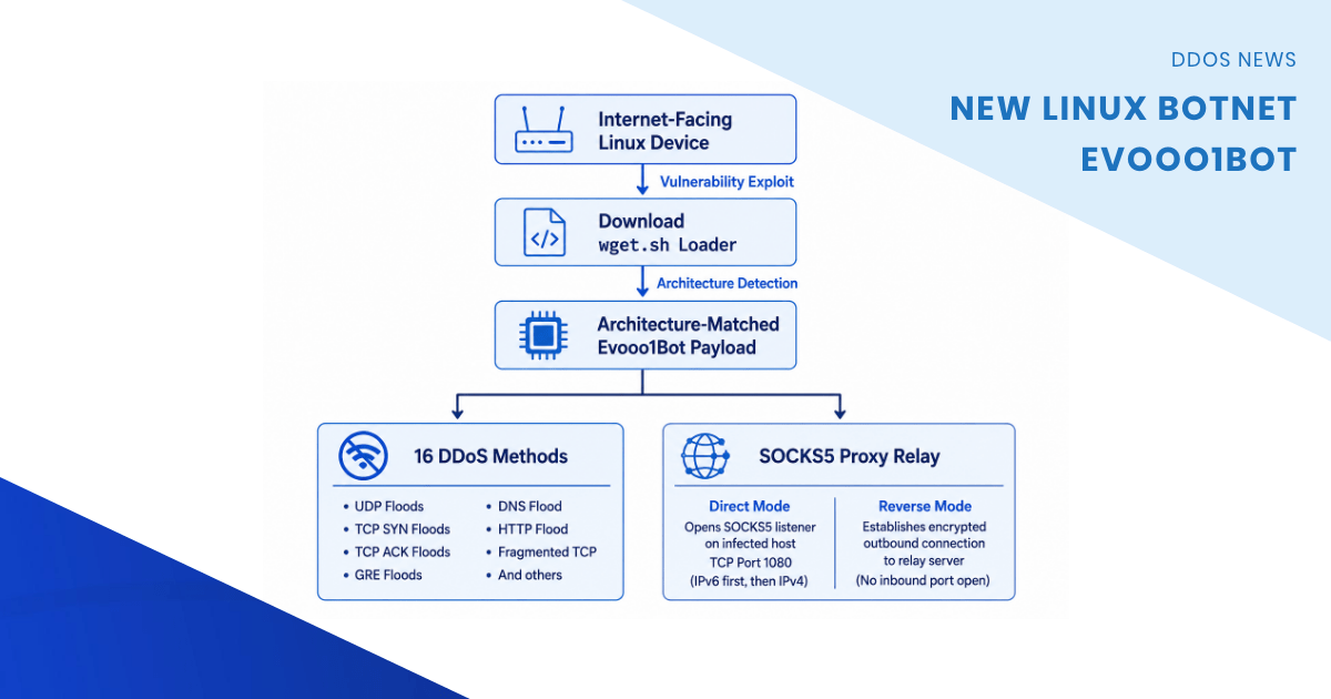 Infographic about the Ev00O1BOT Linux botnet: infection flow from vulnerability to loader to payload, then 16 DDoS methods and SOCKS5 proxy relay.